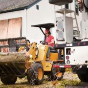 Tree Removal