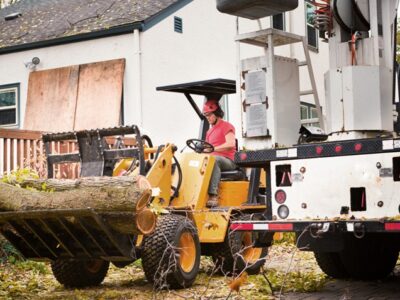 Tree Removal