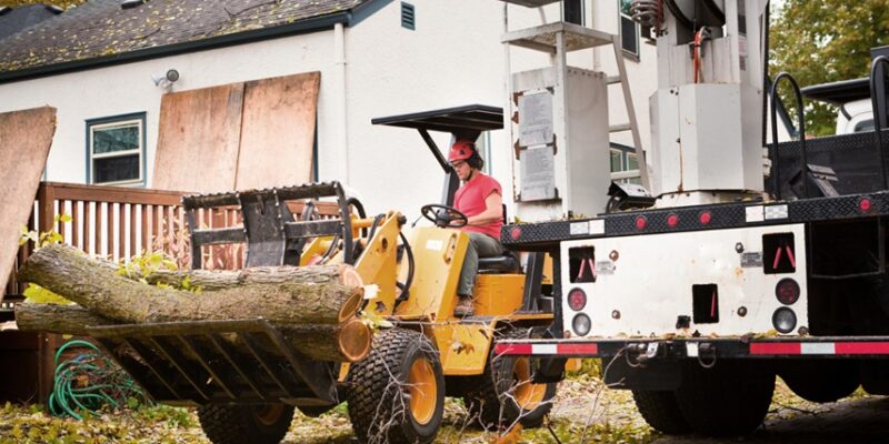 Tree Removal